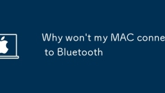 MAC이 Bluetooth에 연결되지 않는 이유