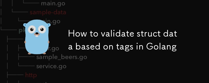 Cara Mengesahkan Data Struct Berdasarkan Tag di Golang