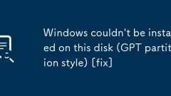 이 디스크에 Windows를 설치할 수 없습니다(GPT 파티션 스타일). [수정]