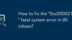 Windows에서 '0xc000021a' 치명적인 시스템 오류를 수정하는 방법은 무엇입니까?