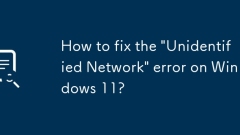 Windows 11에서 '식별되지 않은 네트워크' 오류를 해결하는 방법은 무엇입니까?