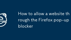 Firefox 팝업 차단기를 통해 웹사이트를 허용하는 방법