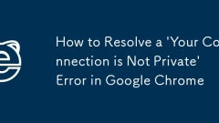 Google Chrome에서 '연결이 비공개가 아닙니다' 오류를 해결하는 방법