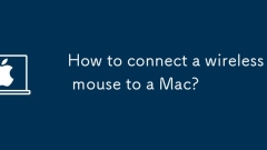 Mac에 무선 마우스를 연결하는 방법은 무엇입니까?