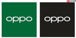 OPPO手机屏幕失灵怎么办 OPPO手机触摸屏没反应的原因及修复方法【保姆级教程】