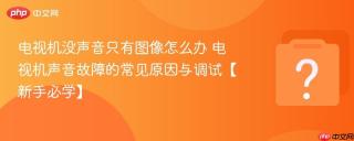 电视机没声音只有图像怎么办 电视机声音故障的常见原因与调试【新手必学】