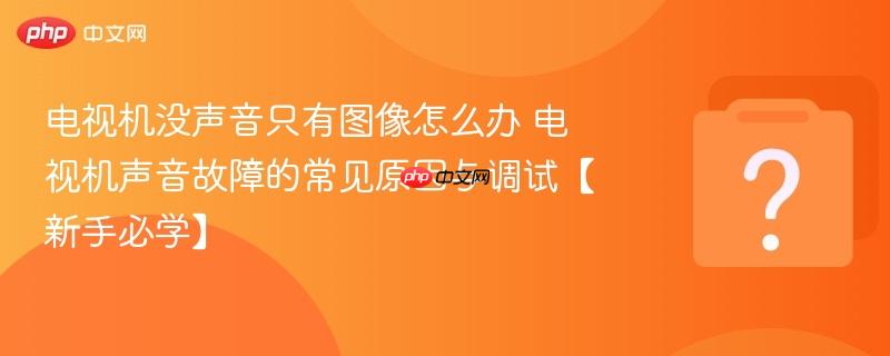 电视机没声音只有图像怎么办 电视机声音故障的常见原因与调试【新手必学】