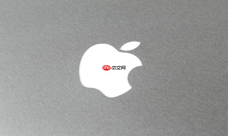 苹果手机屏幕出现绿线或亮点怎么办 iphone屏幕显示异常的原因与处理【深度科普】