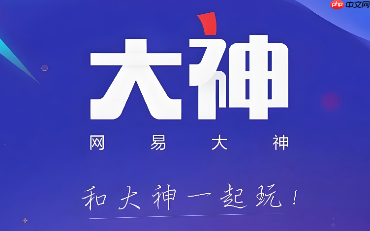 网易大神中的大神码有什么用_网易大神大神码功能解析
