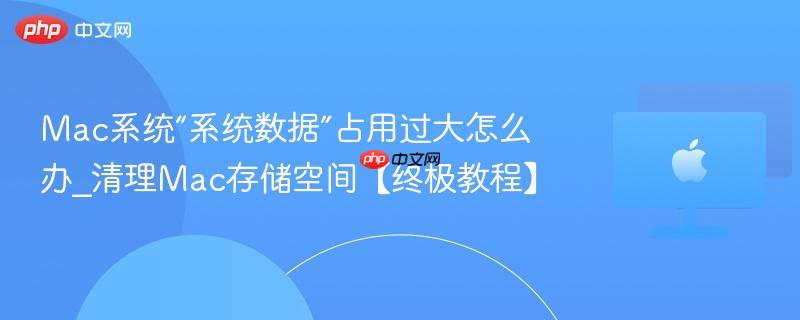 mac系统“系统数据”占用过大怎么办_清理mac存储空间【终极教程】