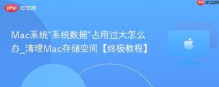 Mac系统“系统数据”占用过大怎么办_清理Mac存储空间【终极教程】