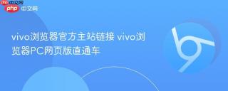 vivo浏览器官方主站链接 vivo浏览器PC网页版直通车