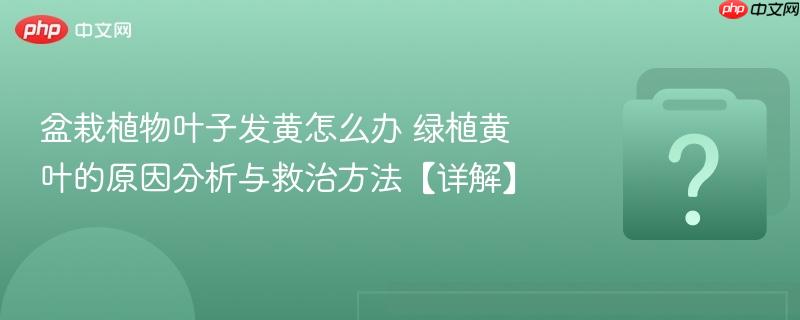 盆栽植物叶子发黄怎么办 绿植黄叶的原因分析与救治方法【详解】