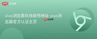 vivo浏览器在线使用地址 vivo浏览器官方认证主页