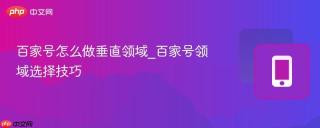 百家号怎么做垂直领域_百家号领域选择技巧