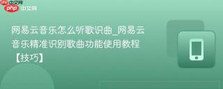 网易云音乐怎么听歌识曲_网易云音乐精准识别歌曲功能使用教程【技巧】