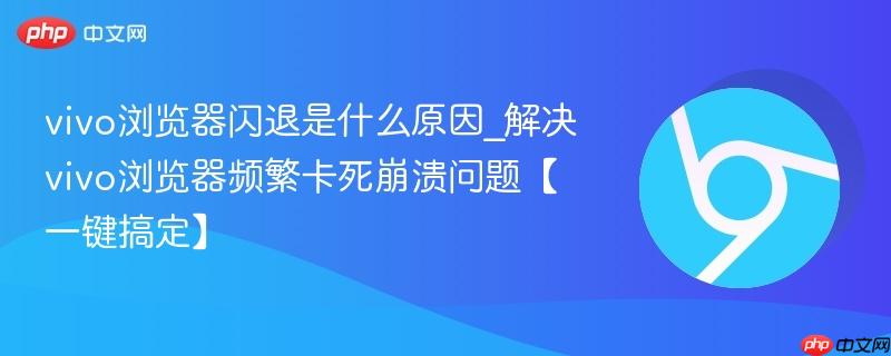 vivo浏览器闪退是什么原因_解决vivo浏览器频繁卡死崩溃问题【一键搞定】