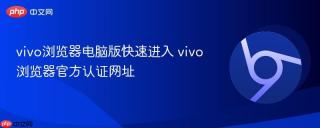 vivo浏览器电脑版快速进入 vivo浏览器官方认证网址