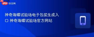 神奇海螺试验场电子包浆生成入口 神奇海螺试验场官方网站