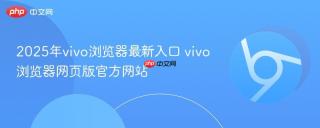 2025年vivo浏览器最新入口 vivo浏览器网页版官方网站