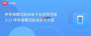 神奇海螺试验场电子包浆网页版入口 神奇海螺试验场官方页面