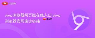 vivo浏览器网页版在线入口 vivo浏览器官网直达链接
