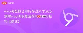vivo浏览器占用内存过大怎么办_清理vivo浏览器缓存和数据的技巧【提速】