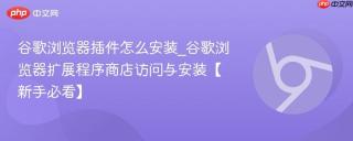 谷歌浏览器插件怎么安装_谷歌浏览器扩展程序商店访问与安装【新手必看】