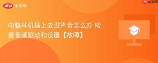 电脑耳机插上去没声音怎么办 检查音频驱动和设置【故障】