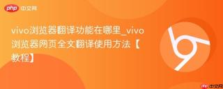 vivo浏览器翻译功能在哪里_vivo浏览器网页全文翻译使用方法【教程】