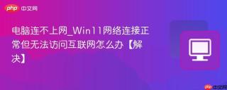 电脑连不上网_Win11网络连接正常但无法访问互联网怎么办【解决】