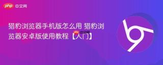 猎豹浏览器手机版怎么用 猎豹浏览器安卓版使用教程【入门】