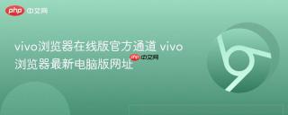 vivo浏览器在线版官方通道 vivo浏览器最新电脑版网址