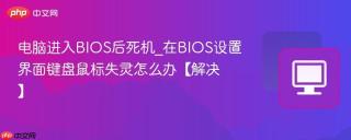 电脑进入BIOS后死机_在BIOS设置界面键盘鼠标失灵怎么办【解决】