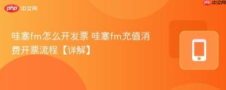 哇塞fm怎么开发票 哇塞fm充值消费开票流程【详解】