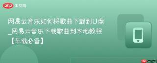 网易云音乐如何将歌曲下载到u盘_网易云音乐下载歌曲到本地教程【车载必备】