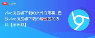vivo浏览器下载的文件在哪里_查找vivo浏览器下载内容位置的方法【全攻略】