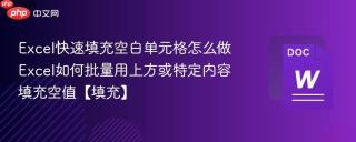Excel快速填充空白单元格怎么做 Excel如何批量用上方或特定内容填充空值【填充】
