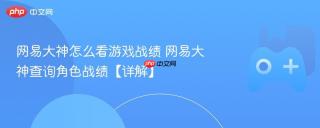 网易大神怎么看游戏战绩 网易大神查询角色战绩【详解】