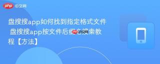 盘搜搜app如何找到指定格式文件 盘搜搜app按文件后缀名搜索教程【方法】