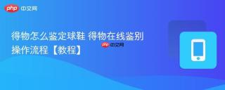 得物怎么鉴定球鞋 得物在线鉴别操作流程【教程】
