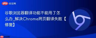 谷歌浏览器翻译功能不能用了怎么办_解决Chrome网页翻译失败【修复】