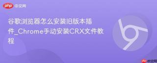 谷歌浏览器怎么安装旧版本插件_Chrome手动安装CRX文件教程