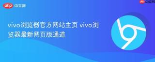 vivo浏览器官方网站主页 vivo浏览器最新网页版通道