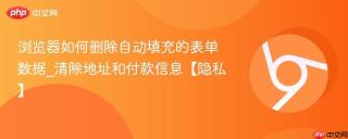 浏览器如何删除自动填充的表单数据_清除地址和付款信息【隐私】