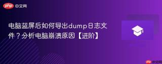 电脑蓝屏后如何导出dump日志文件？分析电脑崩溃原因【进阶】