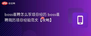 boss直聘怎么写项目经历 boss直聘简历项目经验范文【攻略】