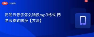 网易云音乐怎么转换mp3格式 网易云格式转换【方法】