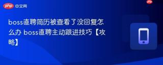 boss直聘简历被查看了没回复怎么办 boss直聘主动跟进技巧【攻略】