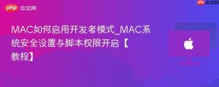 MAC如何启用开发者模式_MAC系统安全设置与脚本权限开启【教程】